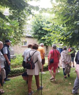 Les visites guidées